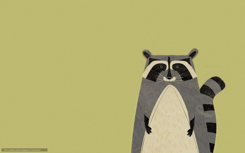 cartoon raccoon illustration