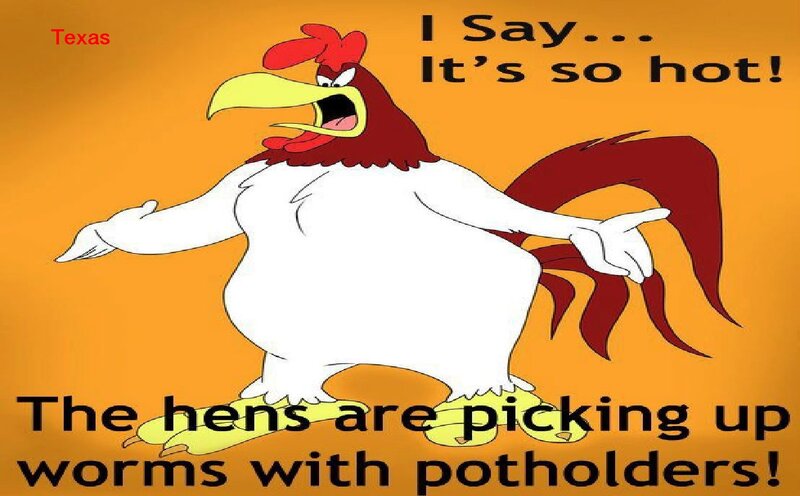 Cartoon Rooster