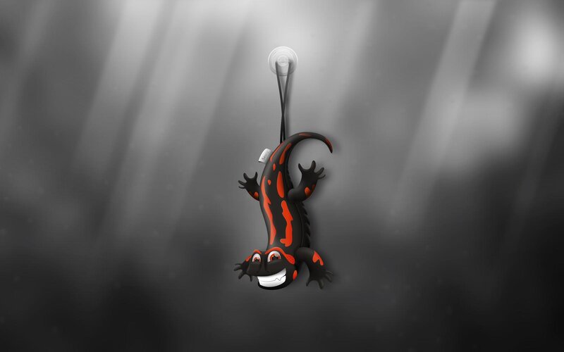 Cartoon Salamander