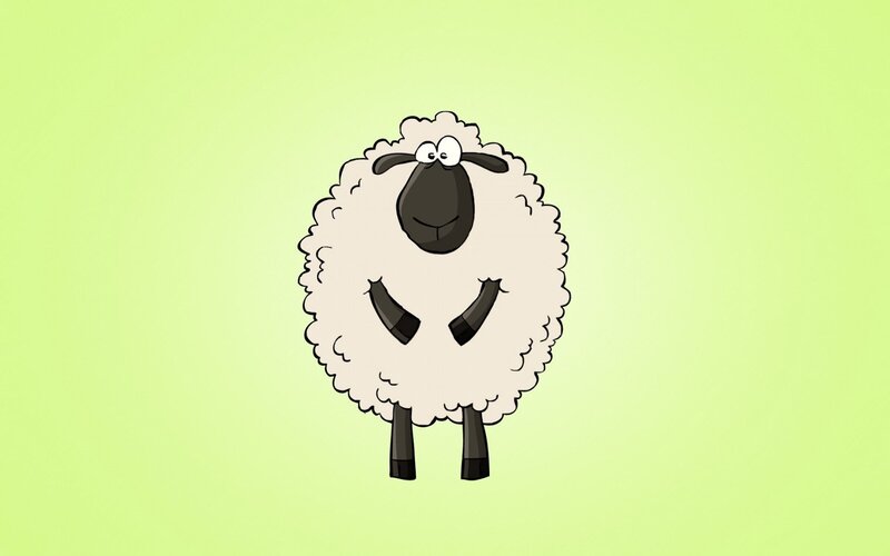 cartoon sheep character