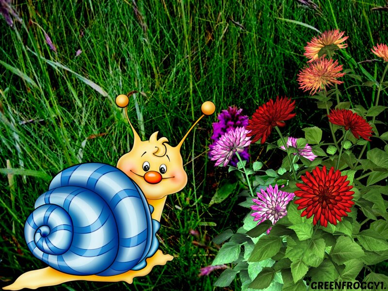 Cartoon Snail in Garden