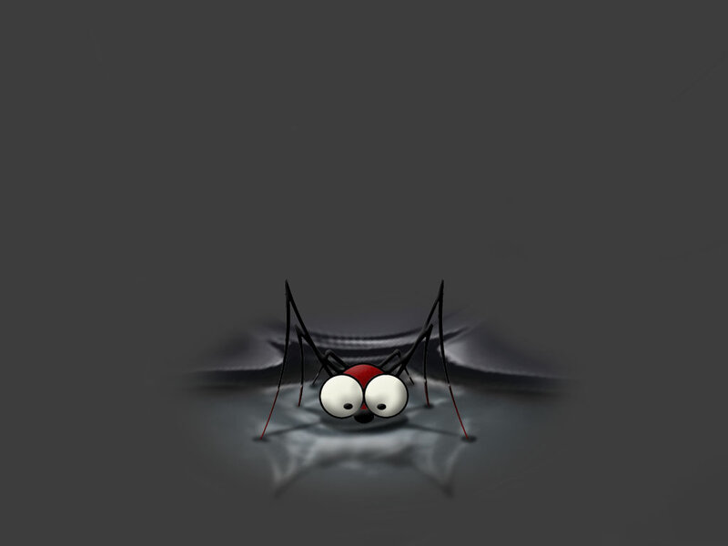 cartoon spider on dark surface