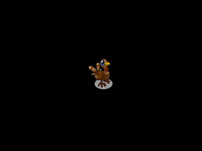 Cartoon Turkey Bird