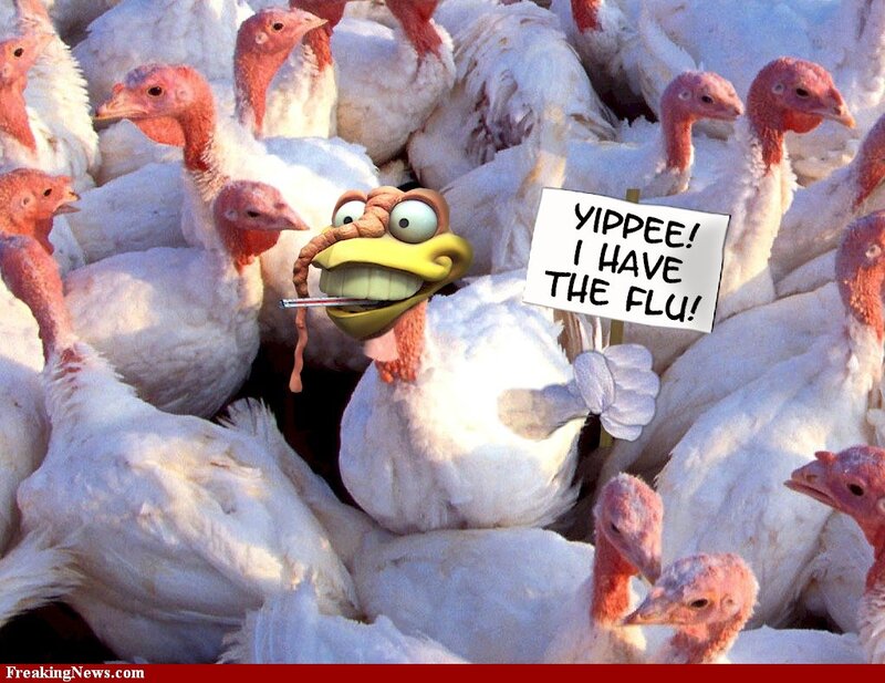 Cartoon Turkey in Crowd