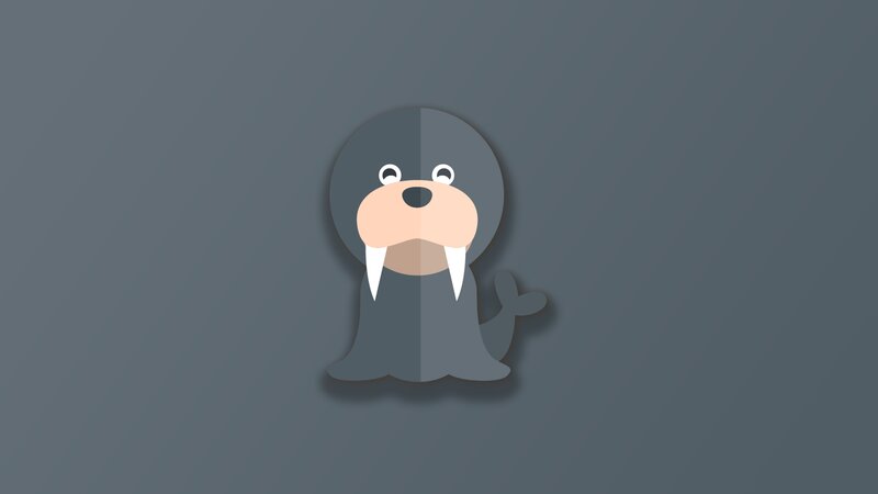 Cartoon Walrus