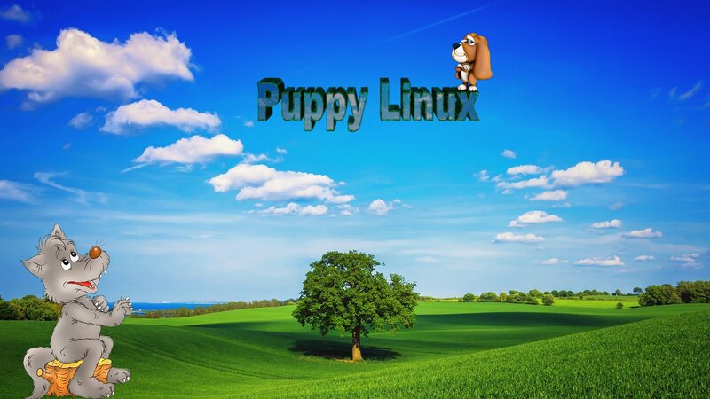 Cartoon Wolf and Puppy