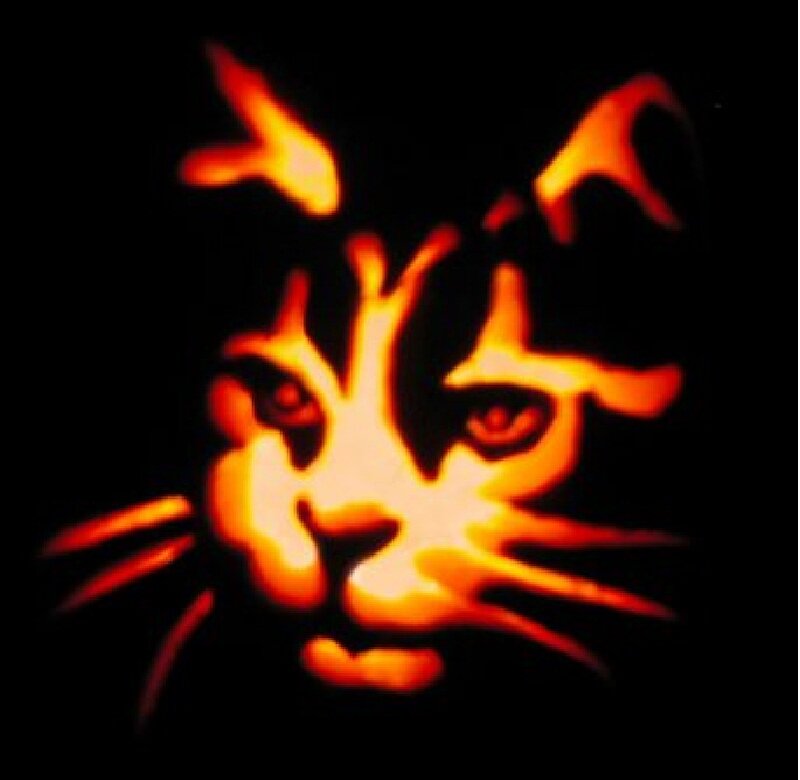 Carved Cat Face