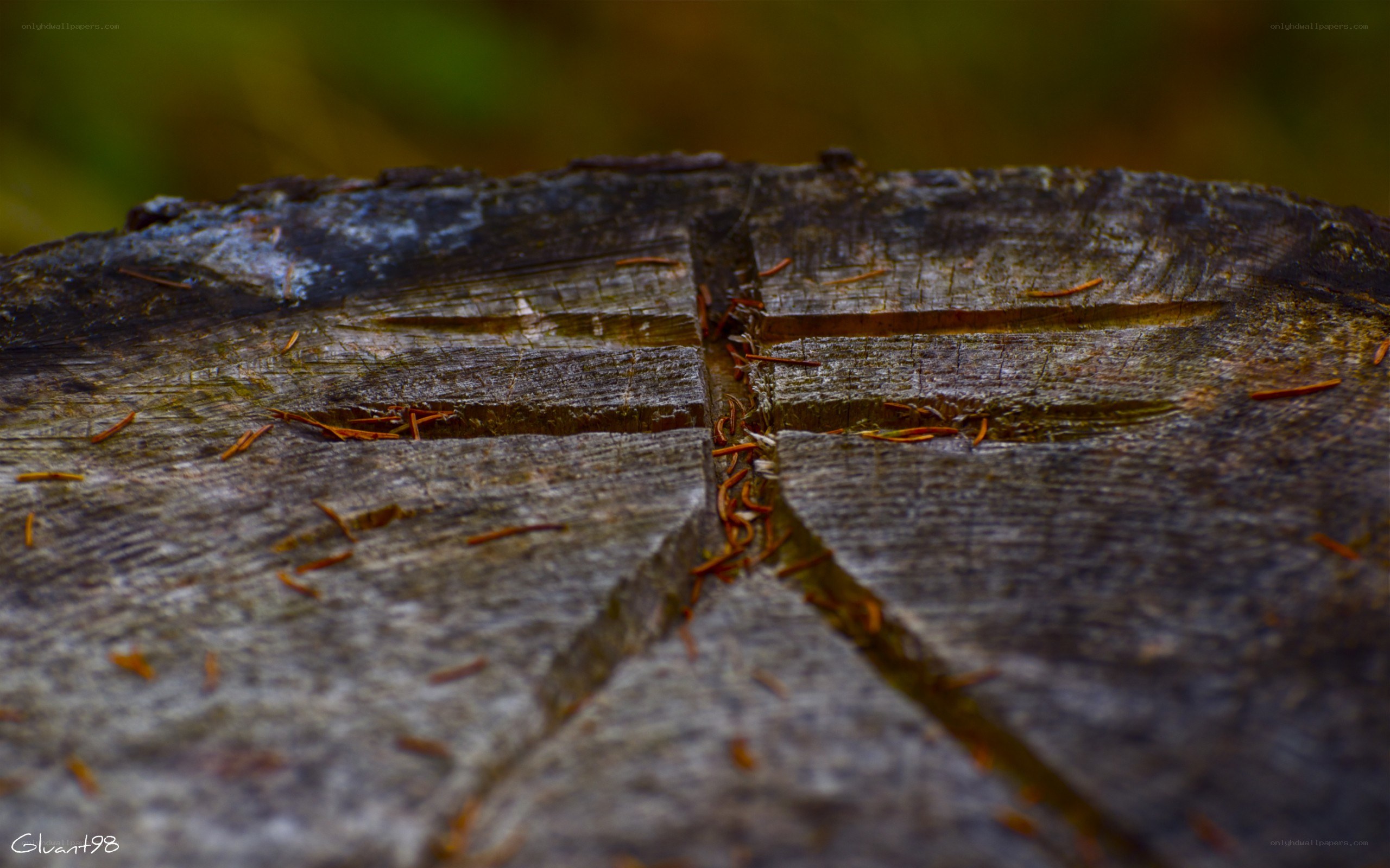 carved cross on tree stump