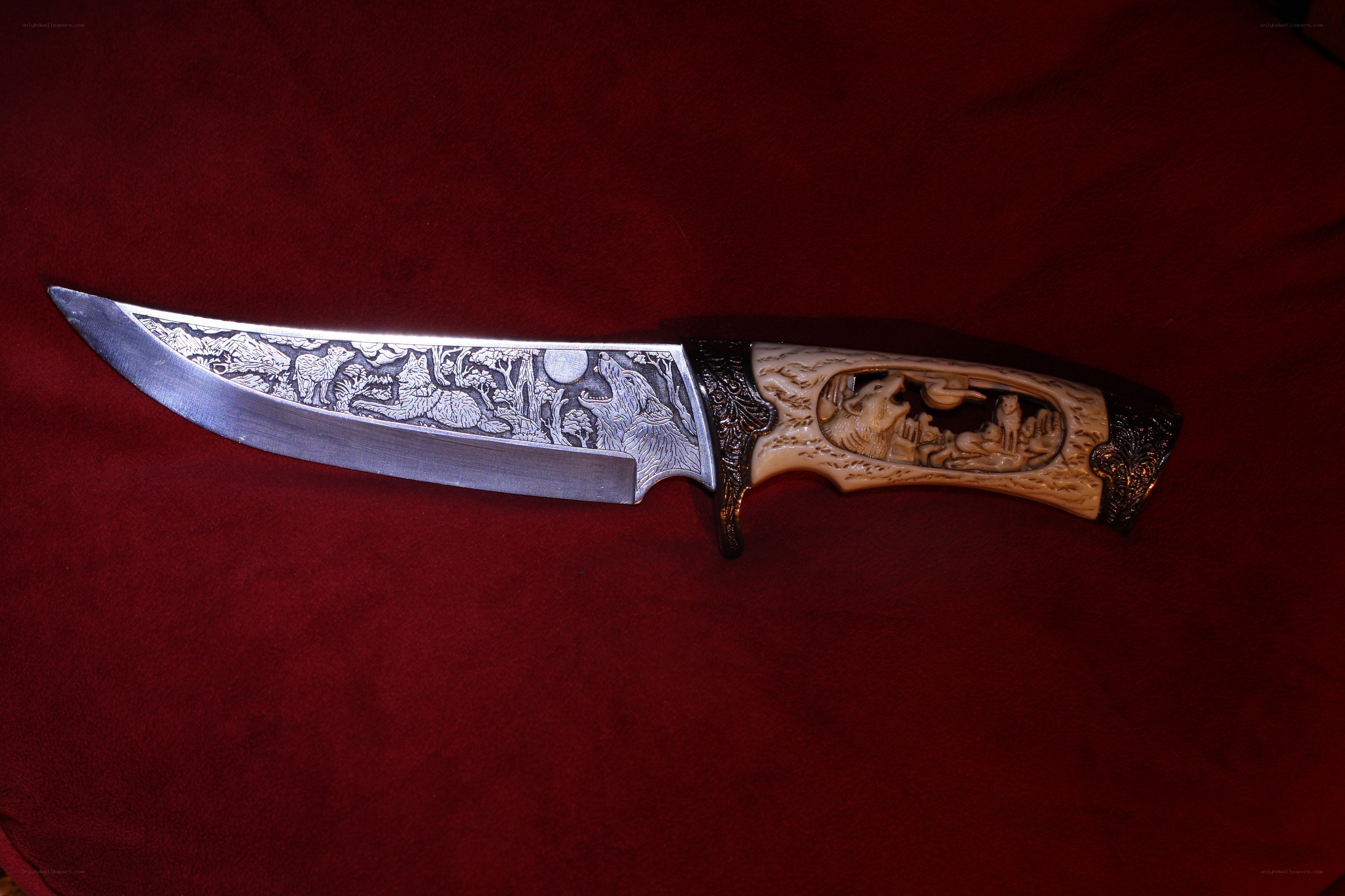 carved knife with wolf design