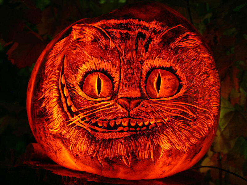 Carved Pumpkin Cat — Orange