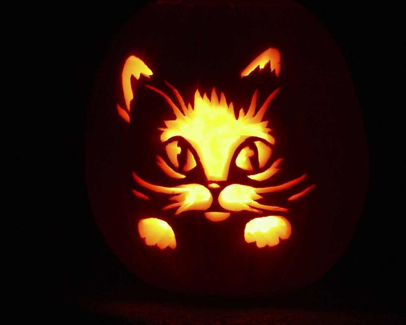 Carved Pumpkin Cat