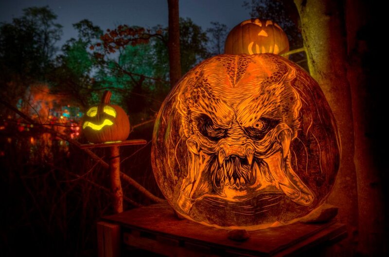 Carved Pumpkin Face — Orange, Dark, Night, Photograph