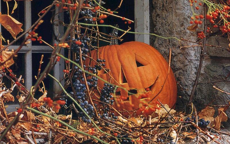 Carved Pumpkin in Foliage