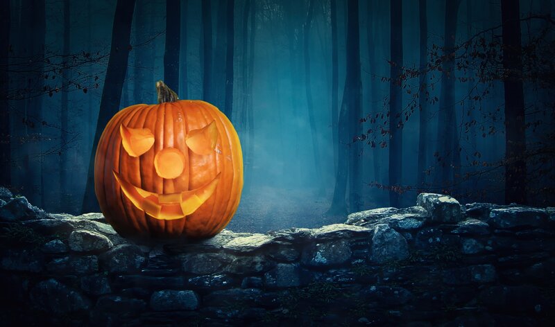 Carved Pumpkin in Forest — Orange, Dark