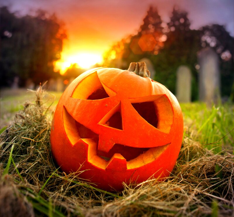 Carved Pumpkin in Grass — Orange