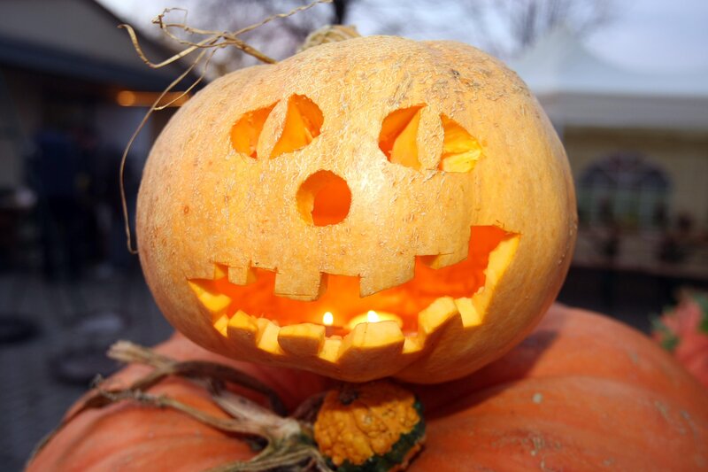 Carved Pumpkin Lantern — Orange, Festive, Autumn, Photograph
