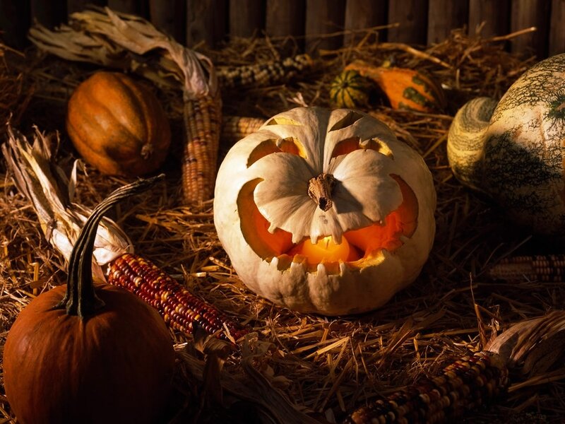 Carved Pumpkin on Hay — Orange