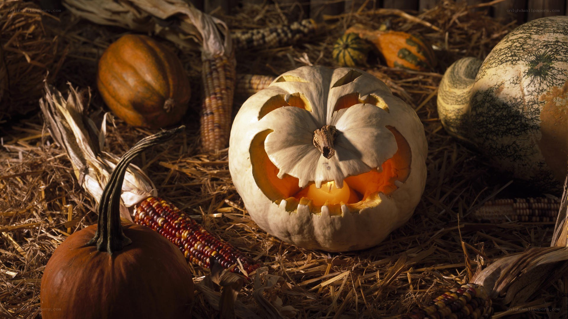 Carved pumpkin on hay
