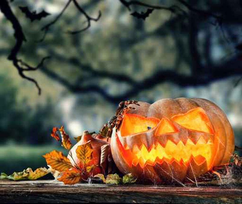 Carved Pumpkin on Wood — Orange, Creepy