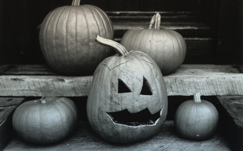 Carved Pumpkin on Wood