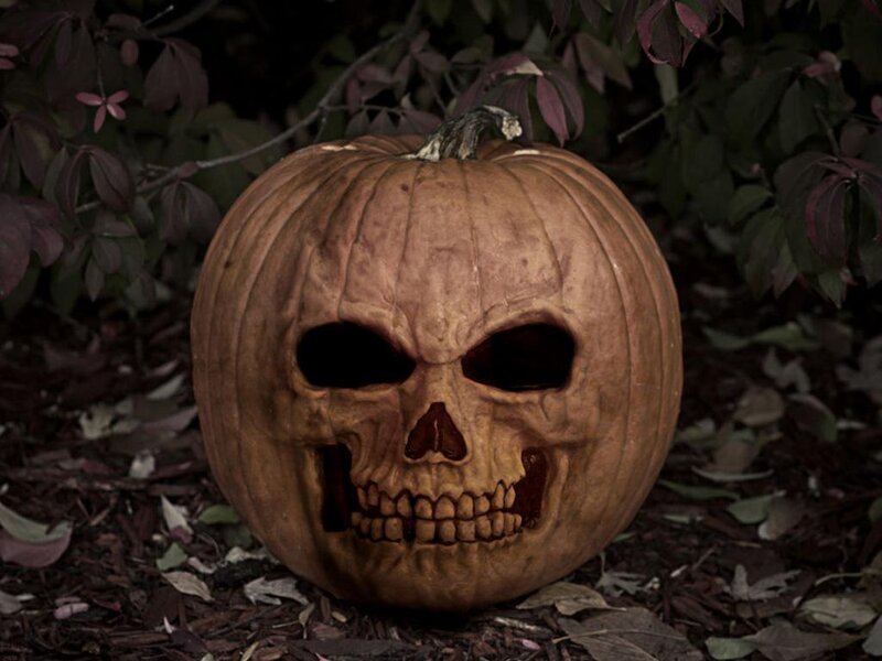 Carved Pumpkin Skull — Brown, Dark, Night, Photograph