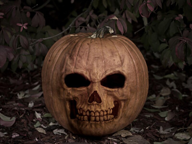 Carved Pumpkin Skull — Brown
