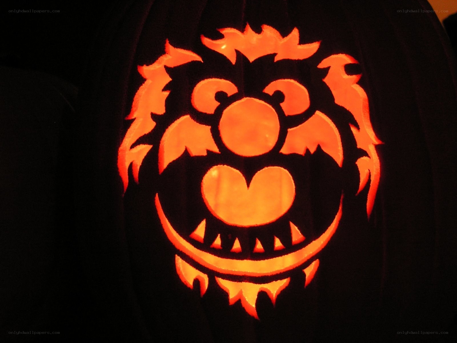 carved pumpkin with animal face