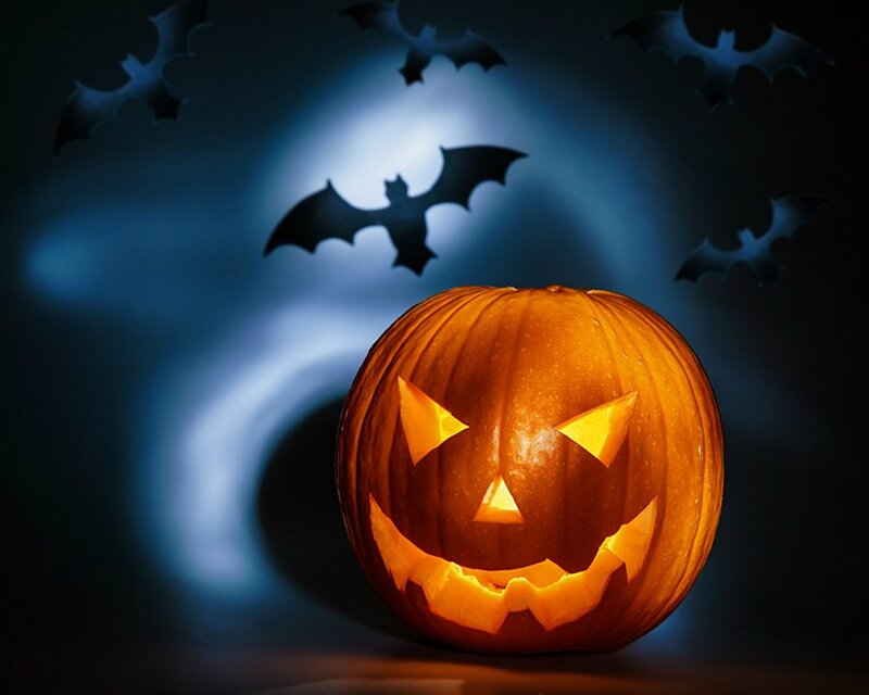 Carved Pumpkin with Bats