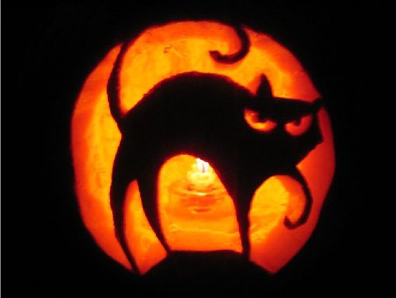 Carved Pumpkin with Cat — Orange