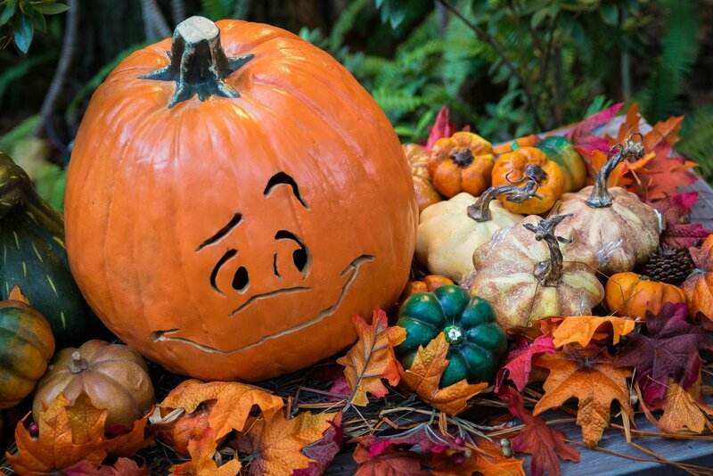Carved Pumpkin with Face — Orange, Festive