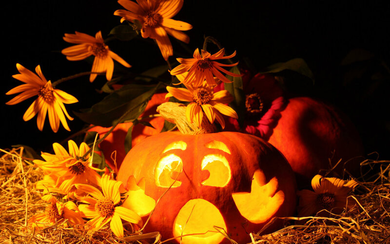 Carved Pumpkin with Flowers — Orange