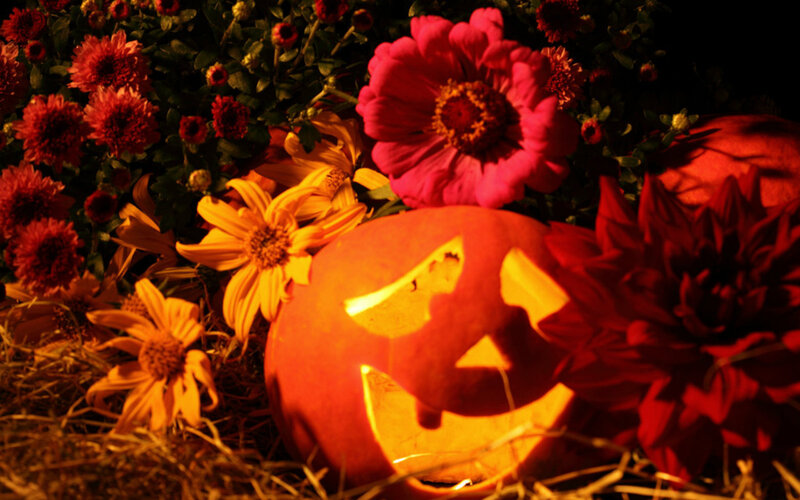 Carved Pumpkin with Flowers