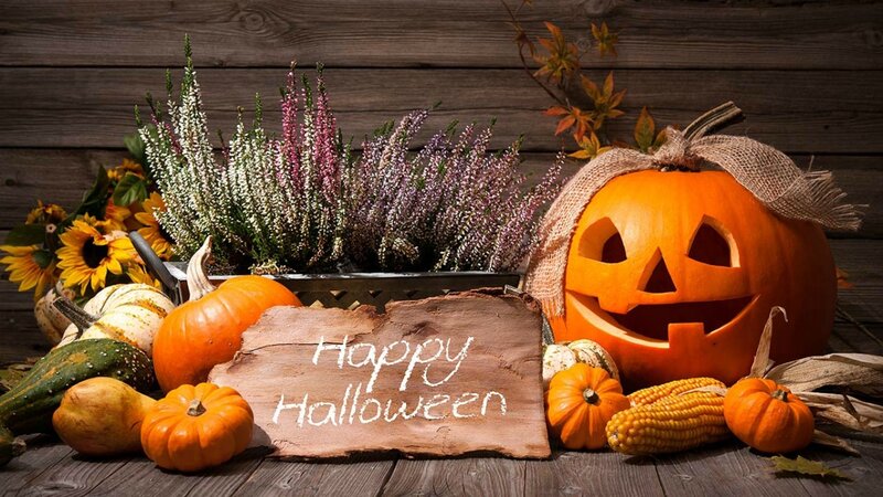 Carved Pumpkin with Gourds — Orange