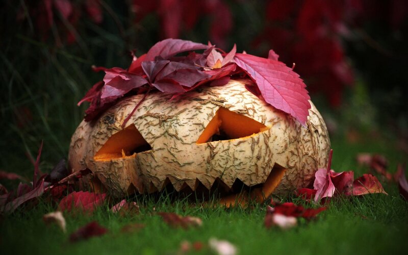 Carved Pumpkin with Leaves — Green