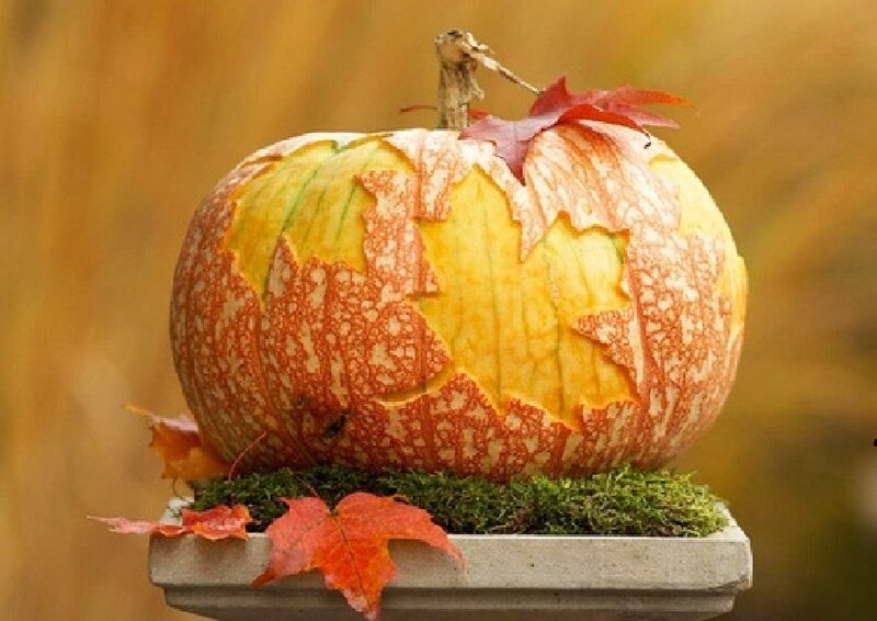 Carved Pumpkin with Leaves — Orange, Autumnal