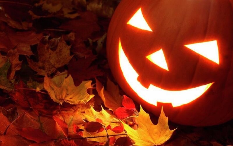 Carved Pumpkin with Leaves — Orange, Festive, Autumn, Photograph