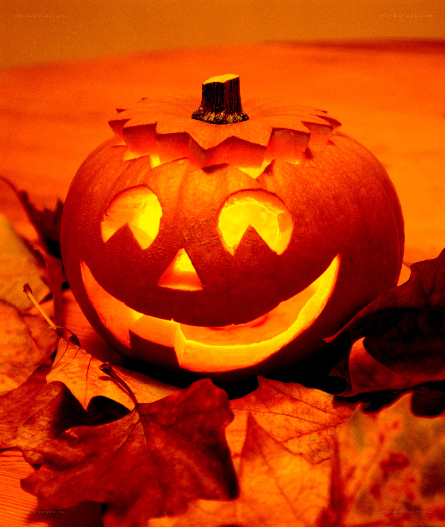 carved pumpkin with leaves