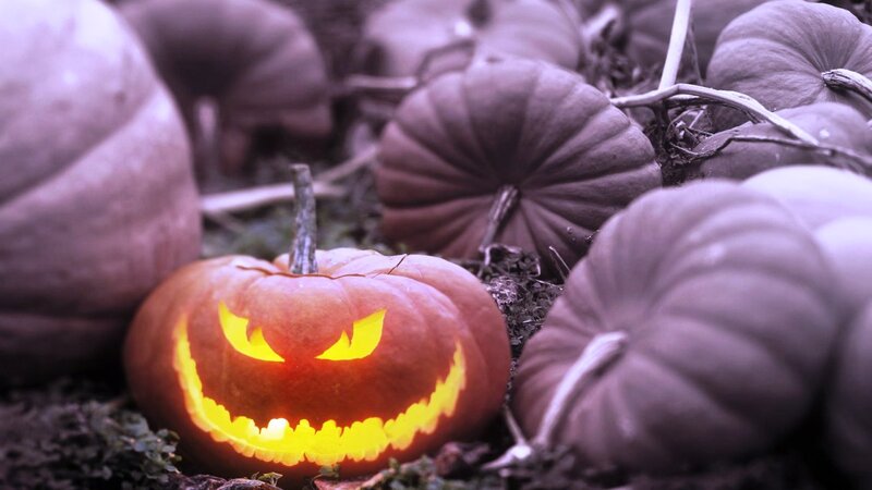 Carved Pumpkin with Light — Orange, Spooky