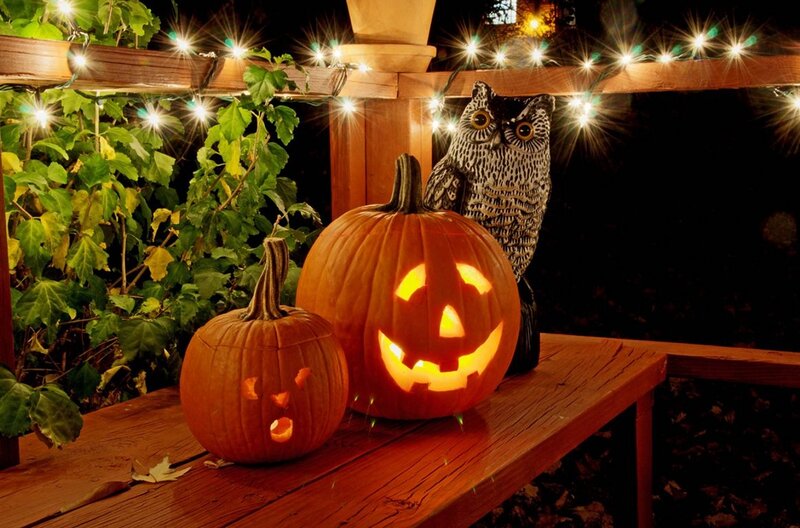 Carved Pumpkins and Owl