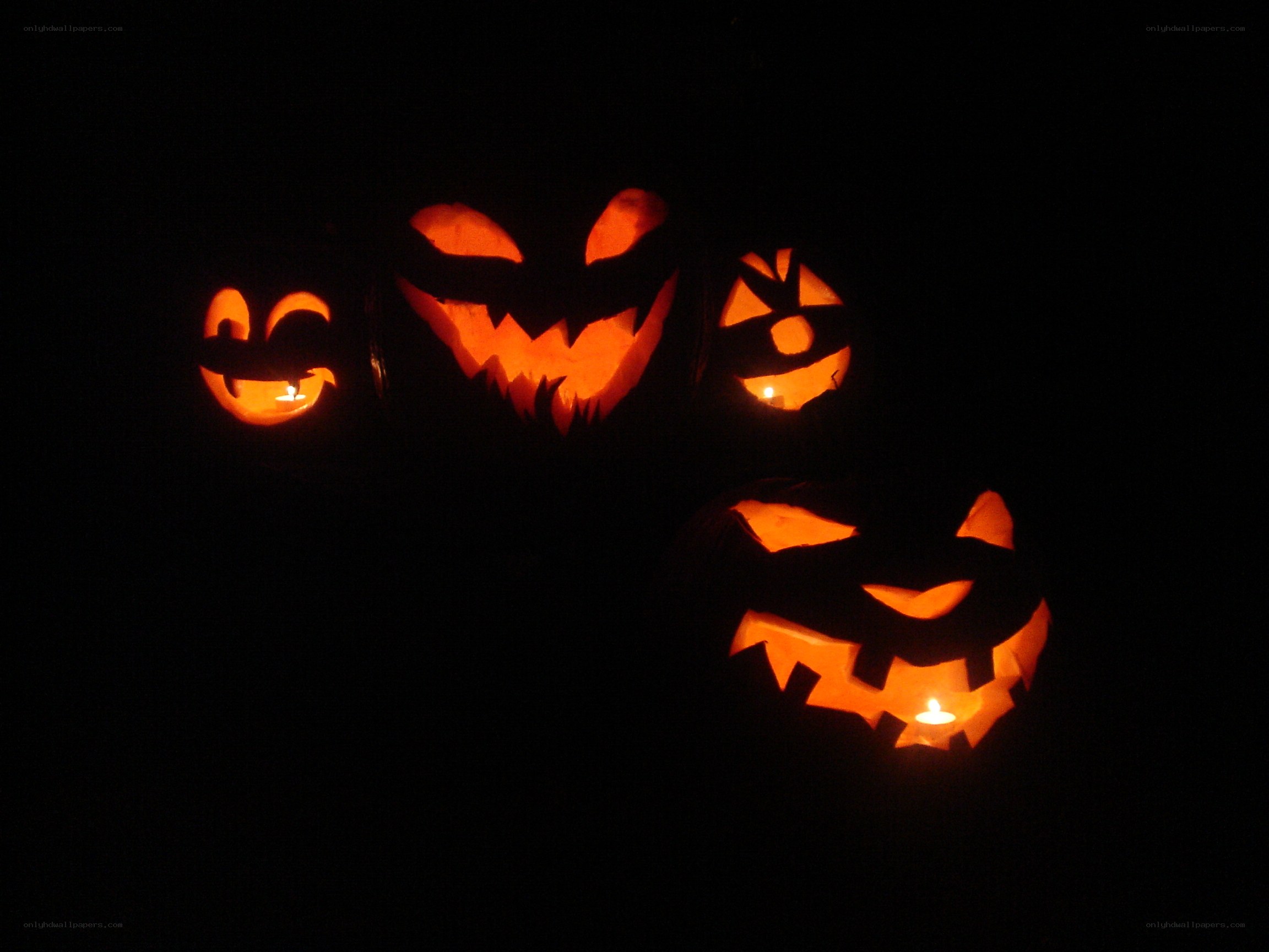 Carved pumpkins at night