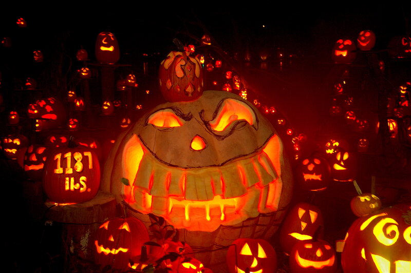 Carved Pumpkins at Night — Orange, Creepy, Photograph, Pumpkin