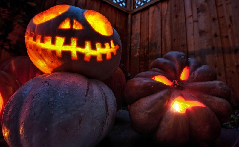 Carved Pumpkins at Night — Orange, Creepy, Photograph, Pumpkin, Wooden Fence