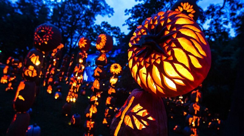 Carved Pumpkins at Night — Orange, Festive, Photograph, Trees, Lanterns