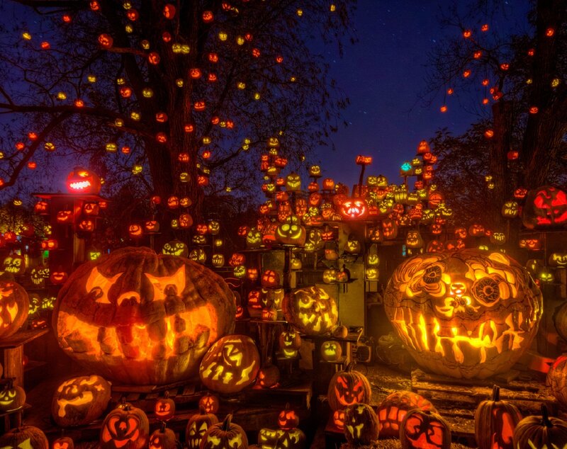 Carved Pumpkins at Night — Orange, Festive, Photograph, Trees