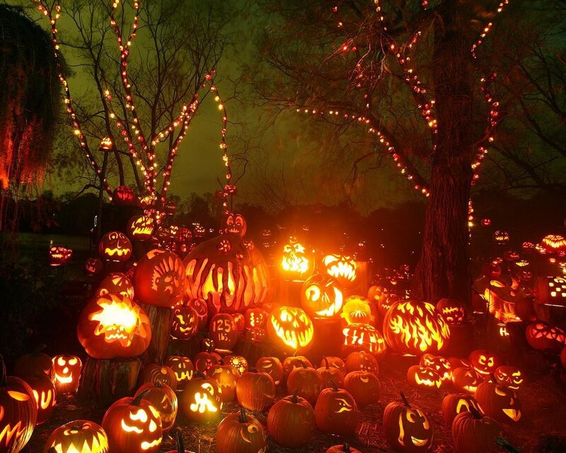 Carved Pumpkins at Night — Orange, Spooky, Photograph