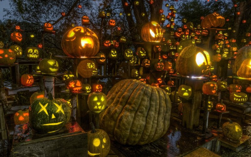 Carved Pumpkins at Night — Orange, Spooky, Photograph, Trees