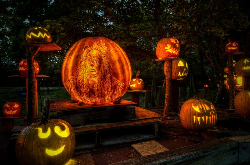 Carved Pumpkins Display — Orange, Dramatic
