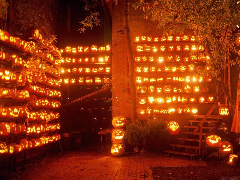 Carved Pumpkins Display — Orange, Festive, Night, Photograph, Stairs