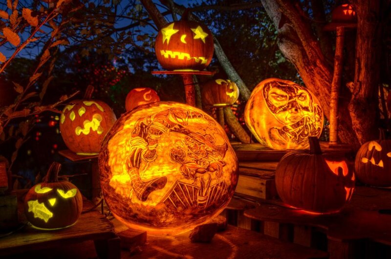 Carved Pumpkins Display — Orange, Festive