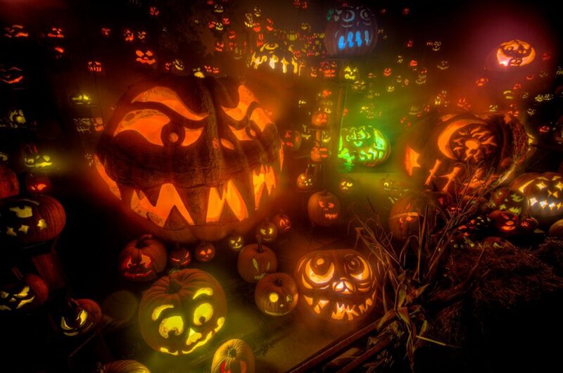 Carved Pumpkins Display — Orange, Spooky